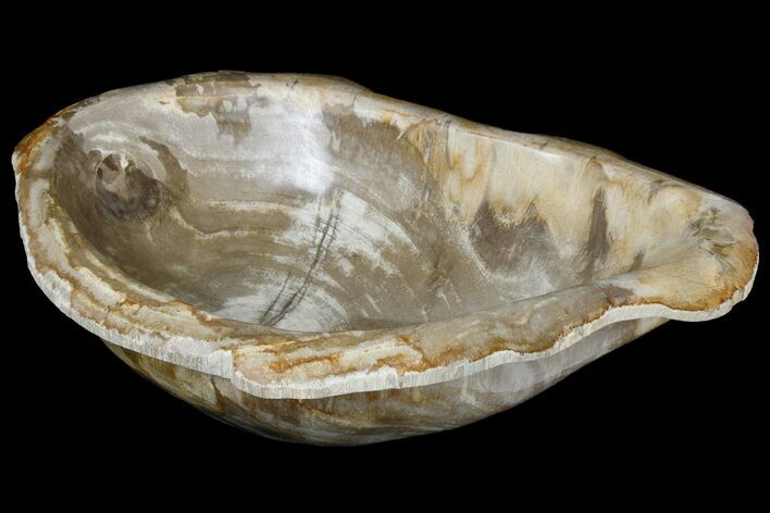 Petrified Wood Bowl - Indonesia #176230